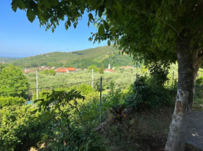 Appartamento Sergio, colline della Versilia